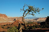 Capitol Reef 04